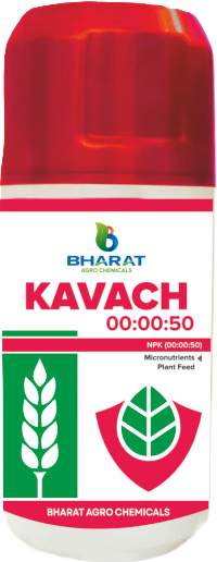 Kavach 00:00:50
